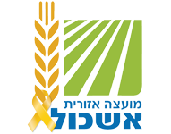 אשכול