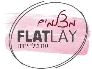 לוגו מצלמים flaltlay